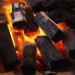 Activité briquettes de combustible