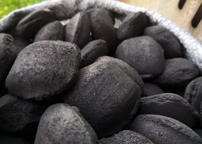 briquet_coal