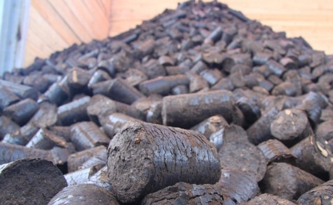 Briquettes de tourbe