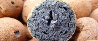 Che cos'è l'argilla espansa Proprietà-produzione-applicazione-e-prezzo-dell'argilla espansa-2