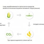 Ekologický produkt, biopalivo.