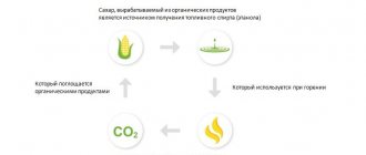 Producto ecológico, biocombustible.