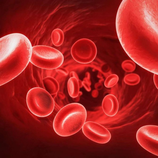 Bức xạ hồng ngoại cải thiện lưu thông máu