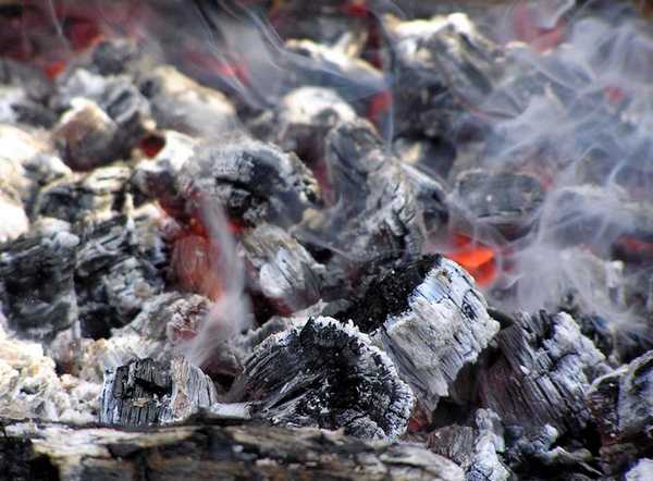 Charcoal production is a promising direction