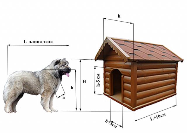 How and what to insulate a doghouse for the winter inside the photo