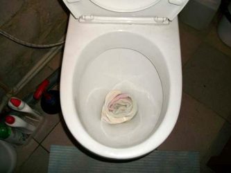 How to remove water from the toilet for the winter?