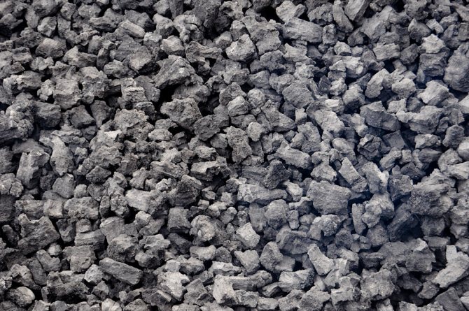 Carbó de coc