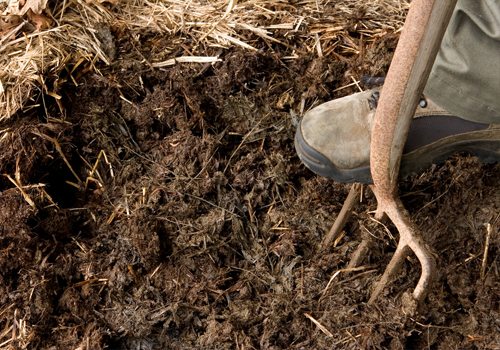 Hnoj je ekologickým palivom pre skleník