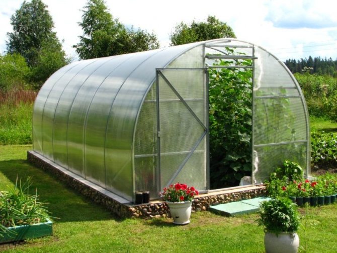 One of the options for using a bent profile is arranging a greenhouse