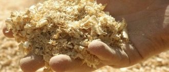 Sawdust for ceiling insulation
