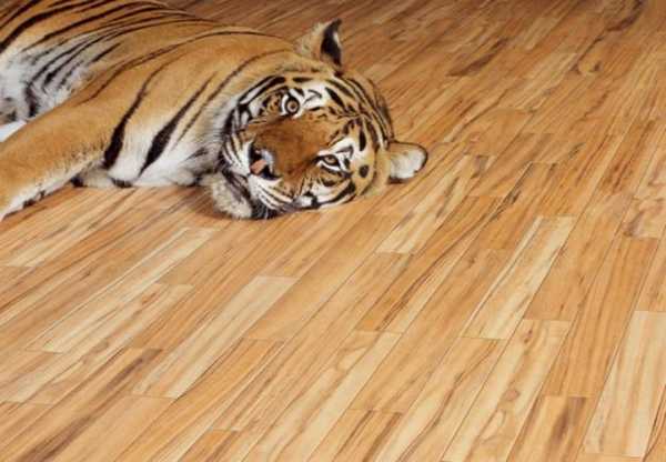 Sàn gỗ hoặc ván lát sàn cũng có thể được lát trên sàn ấm. Nhưng bạn cần phải chọn những loại đá dày đặc không thất thường.