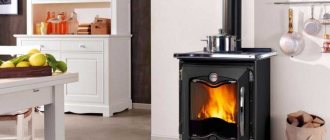 fireplace stove with stove