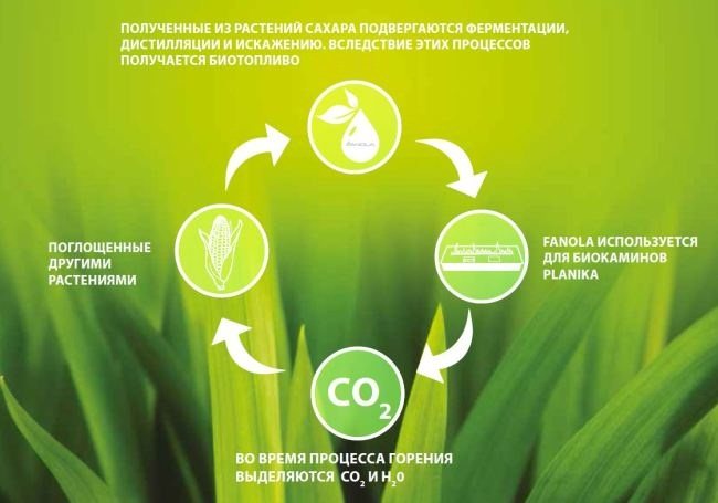 How biofuels work