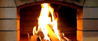 Un fuoco ardente in una fornace di pietra