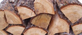 Borovicové palivové drevo