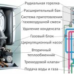 Štruktúra a princíp činnosti plynových kotlov