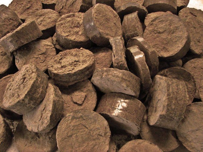 Briquettes combustibles: équipement et technologie de production